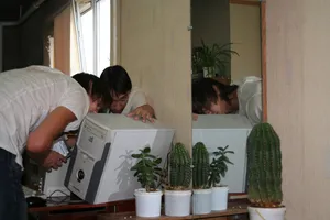 2009. This photo shows the shoots of that cactus from my childhood.